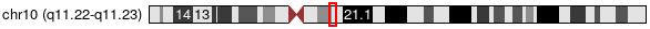 Cytoband Image