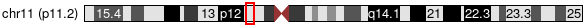 Cytoband Image