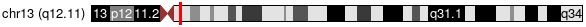 Cytoband Image