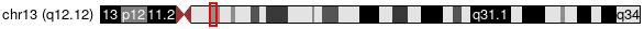 Cytoband Image