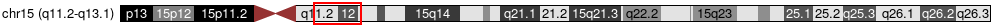 Cytoband Image
