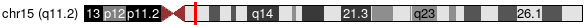 Cytoband Image