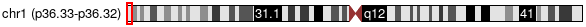 Cytoband Image