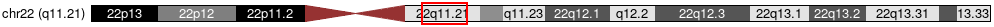 Cytoband Image