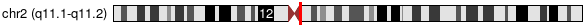 Cytoband Image