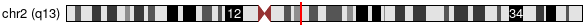 Cytoband Image