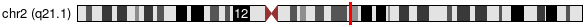 Cytoband Image