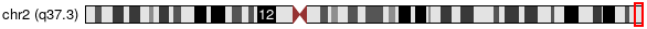 Cytoband Image