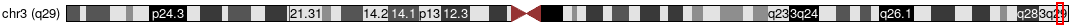 Cytoband Image