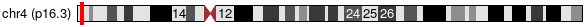 Cytoband Image