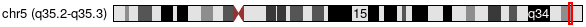 Cytoband Image