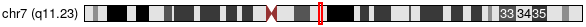 Cytoband Image