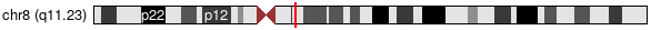 Cytoband Image